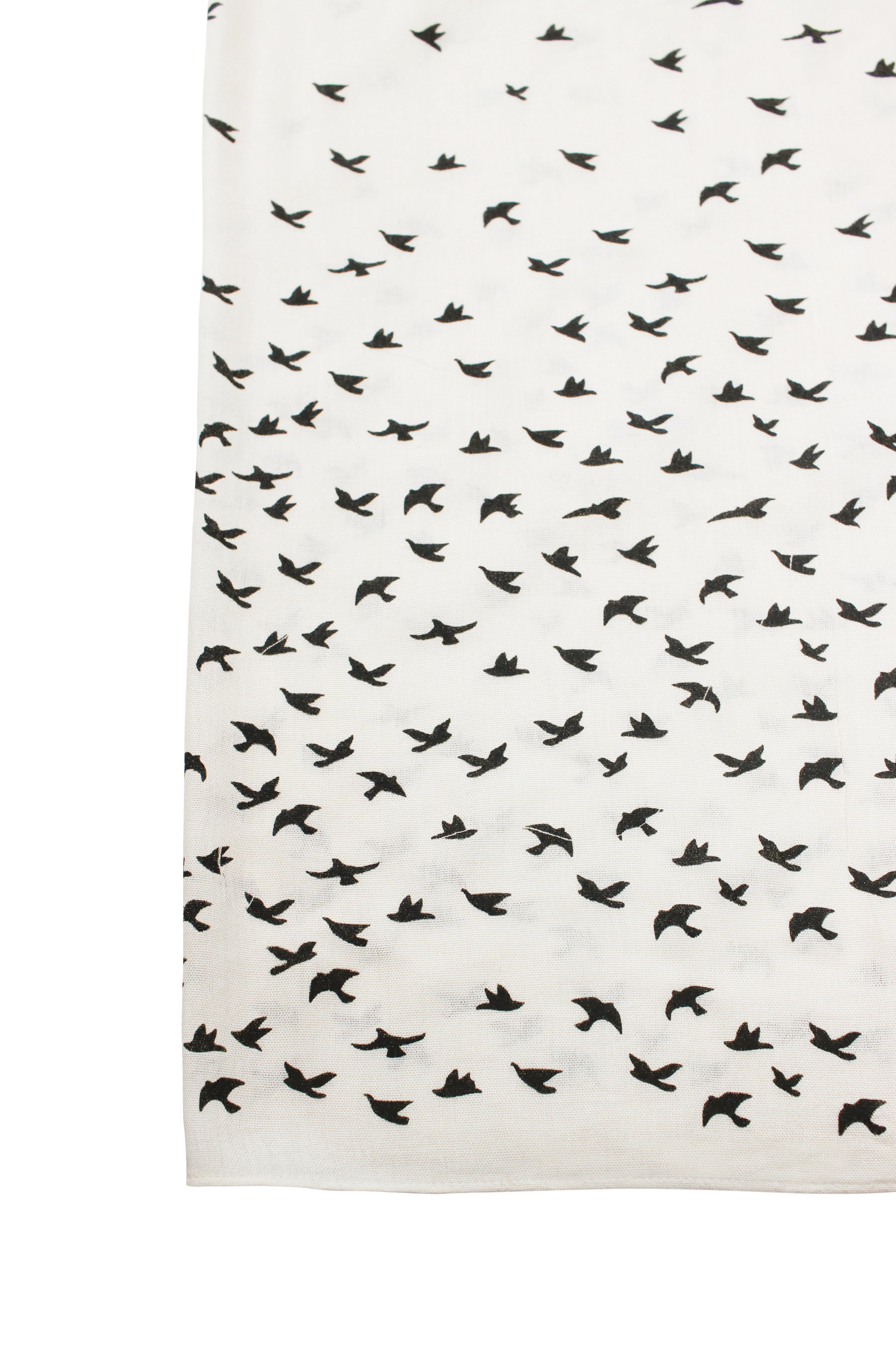 Birds- Cream (with Black Ink)- Modal Hijab