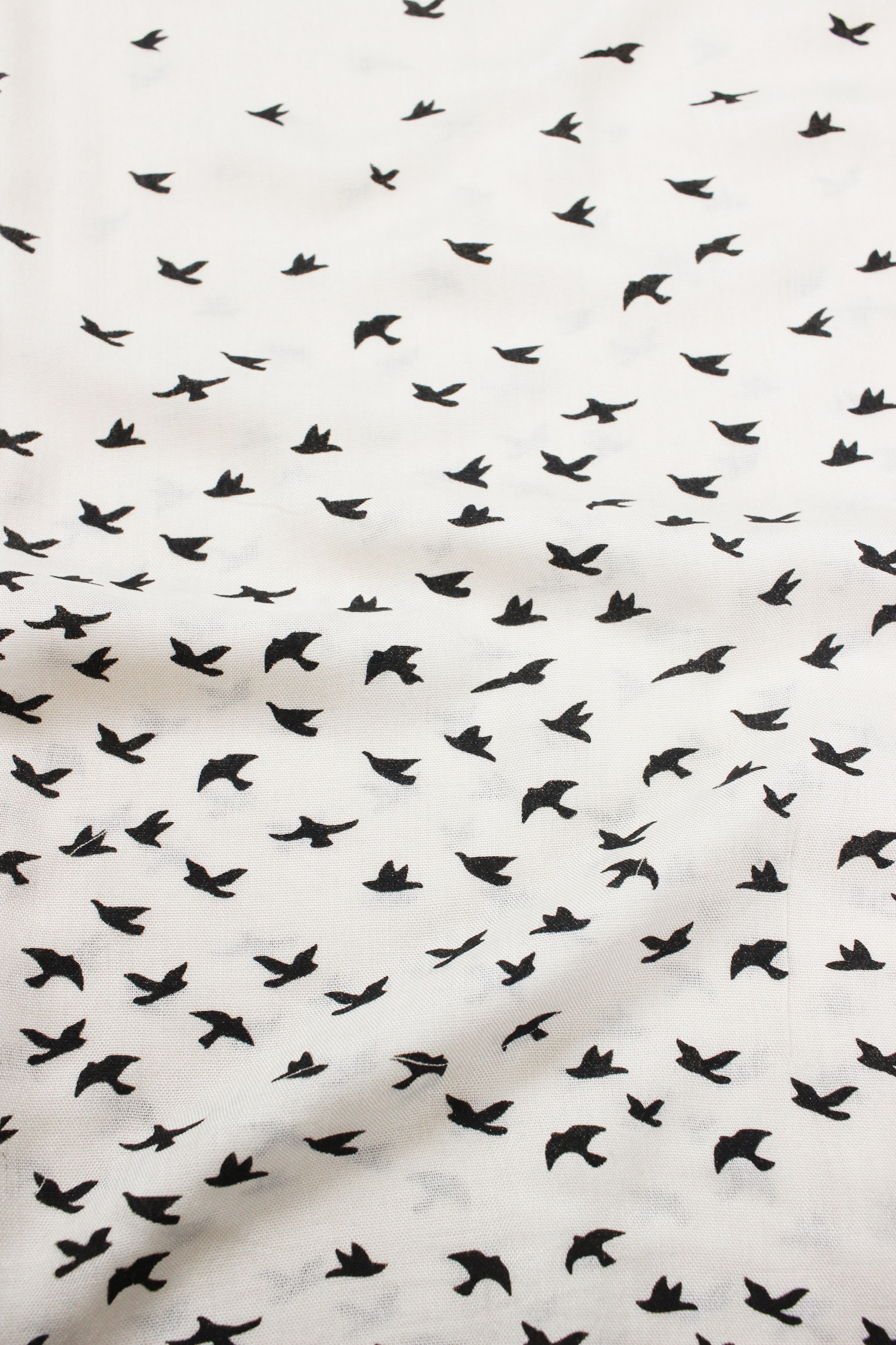 Birds- Cream (with Black Ink)- Modal Hijab