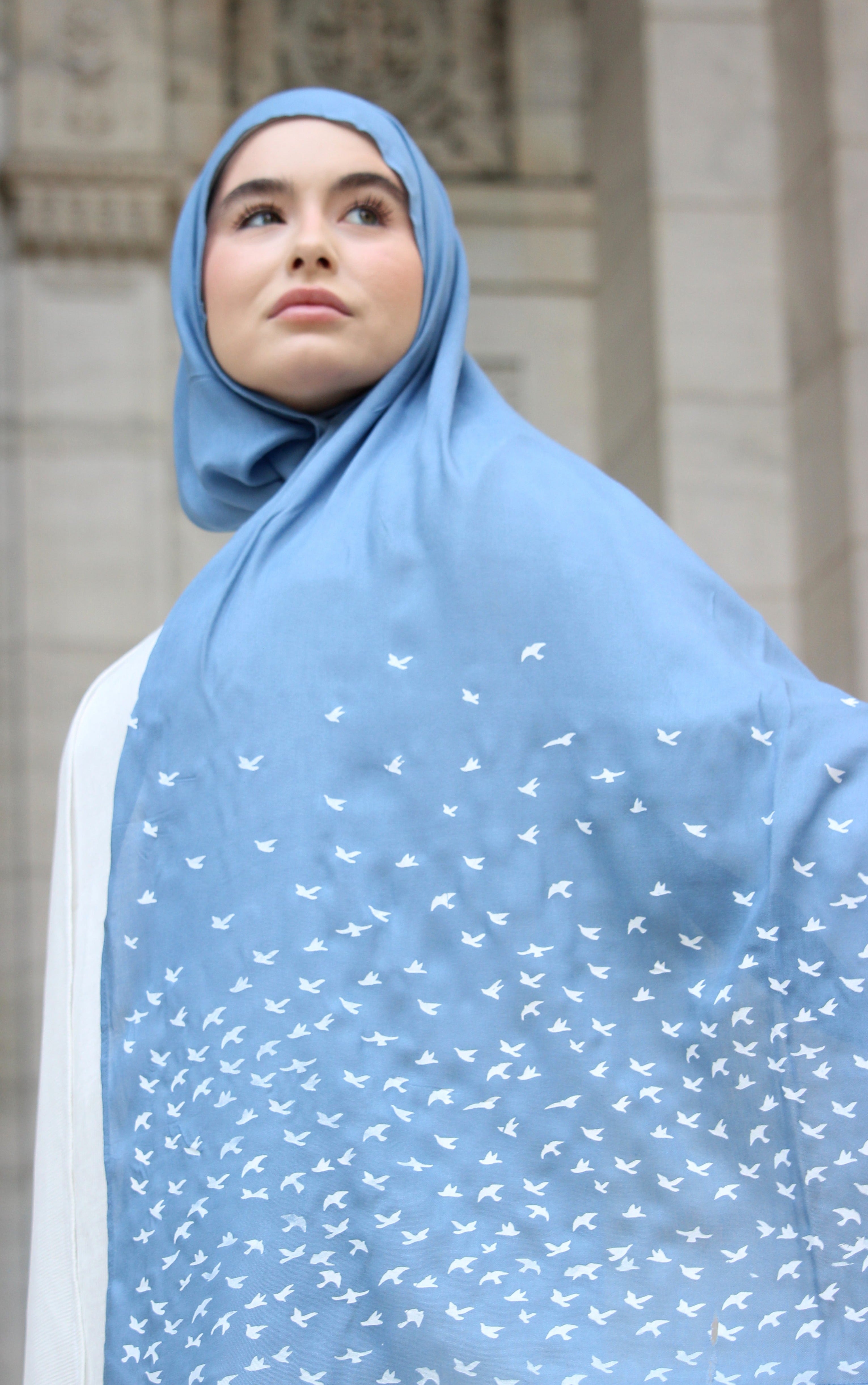 Birds- Arctic - Modal Hijab