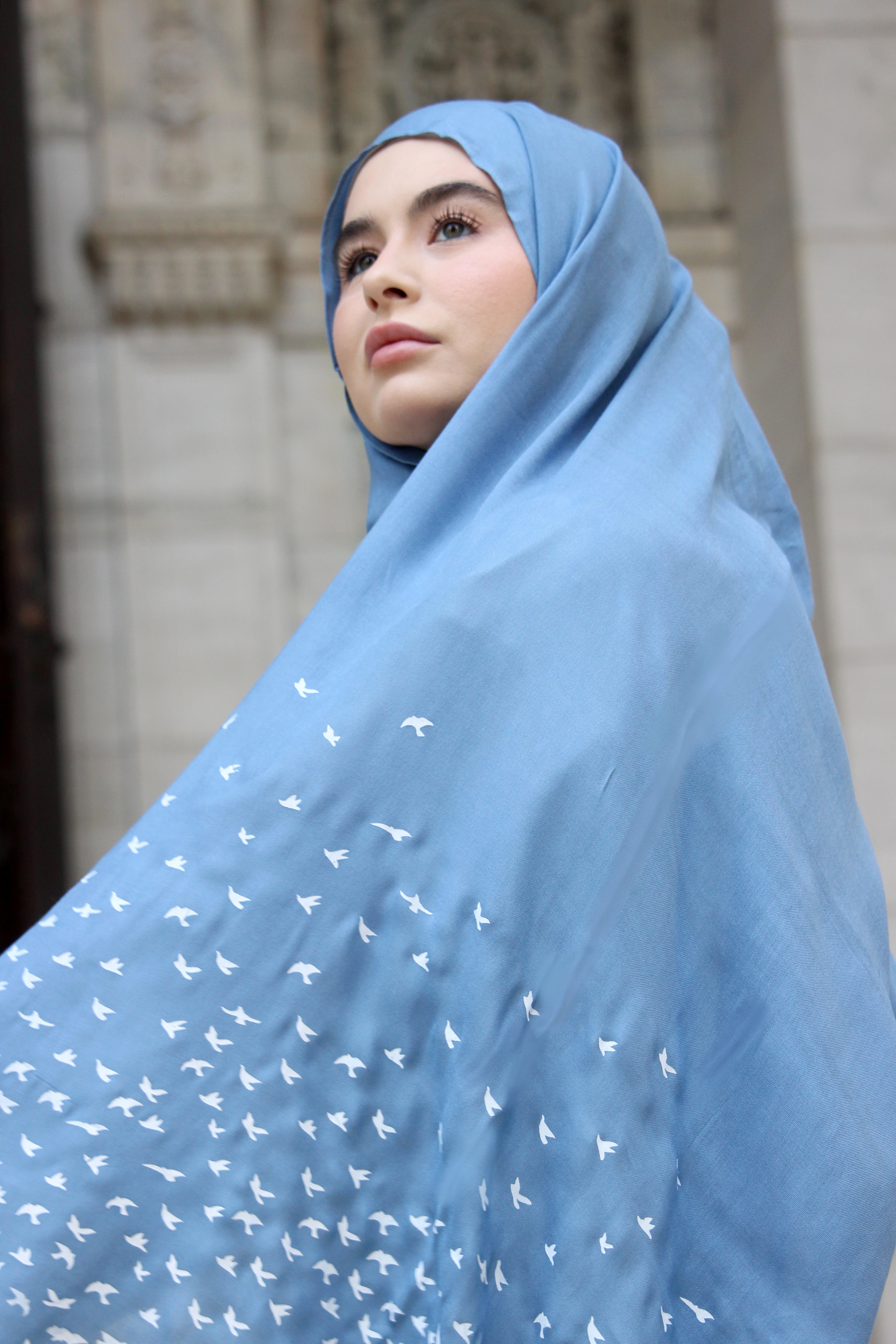 Birds- Arctic - Modal Hijab