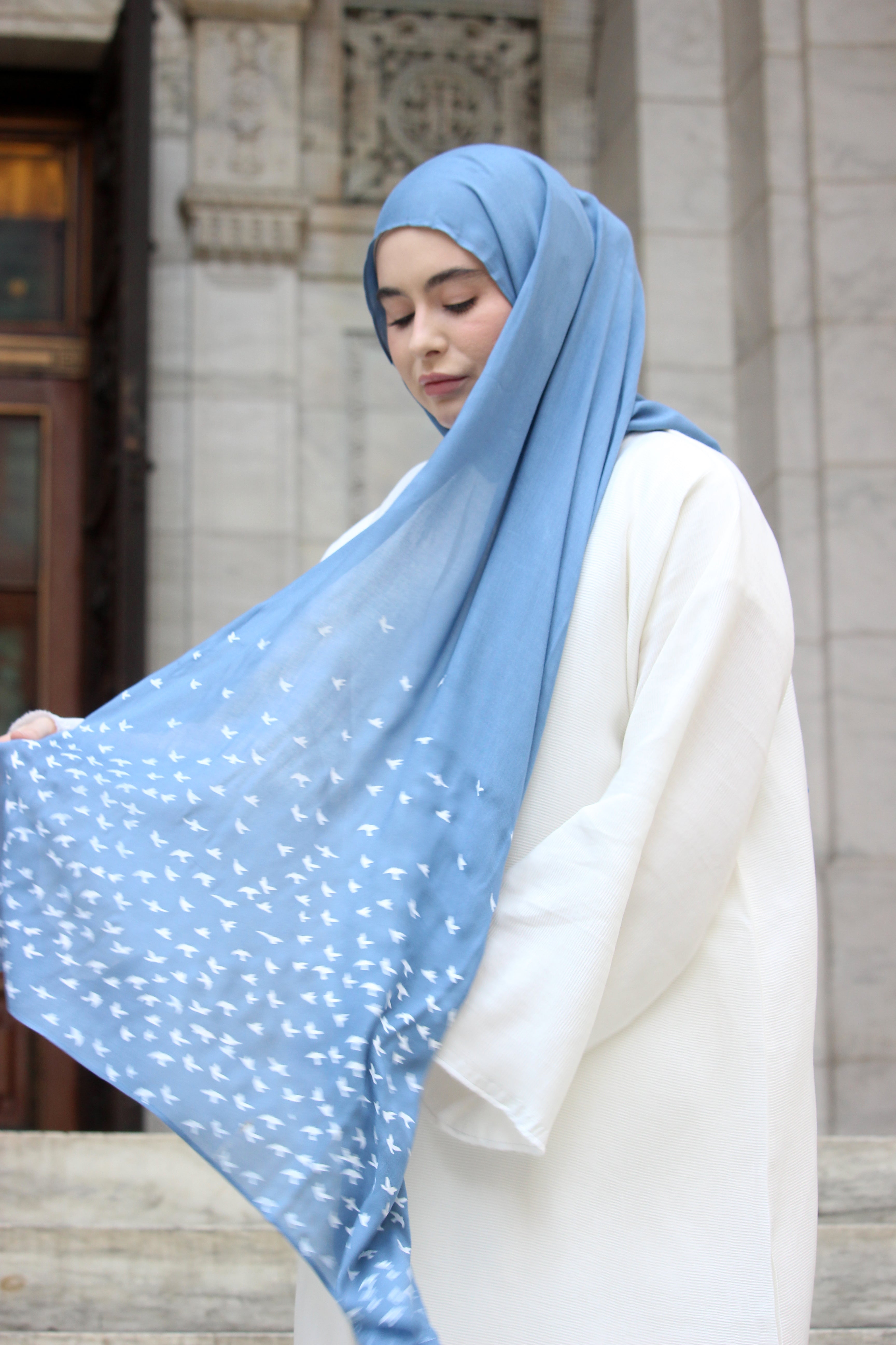 Birds- Arctic - Modal Hijab