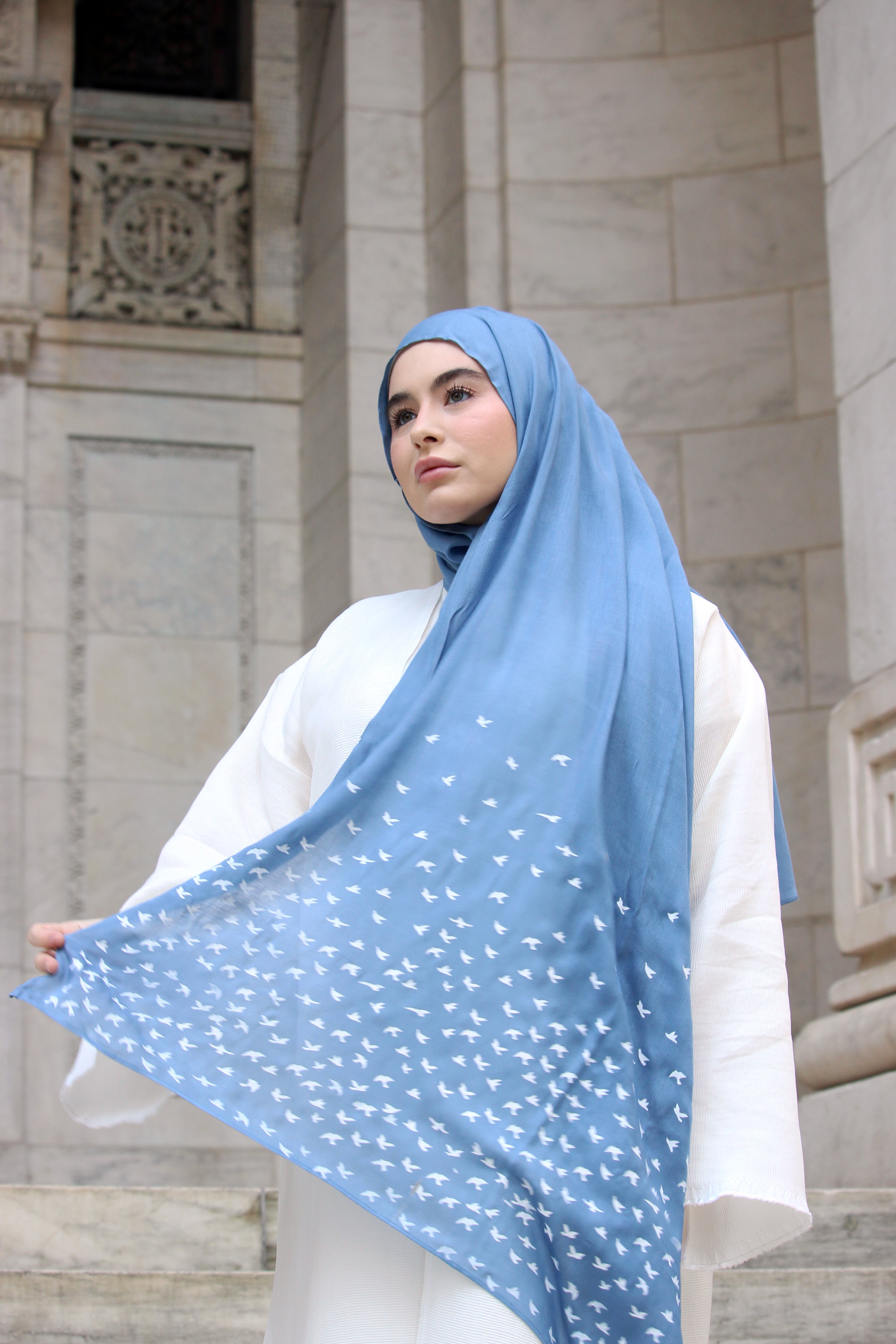 Birds- Arctic - Modal Hijab